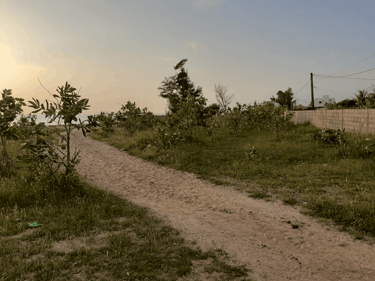 Terrain